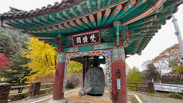 Tom Goddard at Seoul 2025