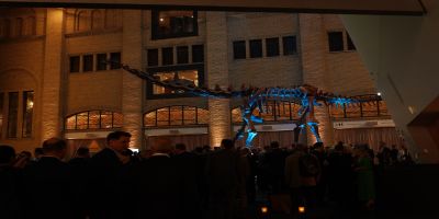 Gala Dinner, Royal Ontario Museum