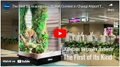 Singapore: Changi Airport 3D Anamorphic