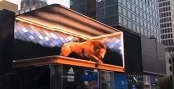 China: Ultra realistic 3D lion in Chengdu