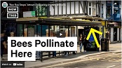 UK: ‘Bee Bus Stops’ Attract Pollinating Insects