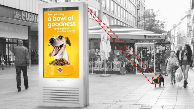 Dogvertising – Go2Digital’s Cannes Lions Bronze-winning DOOH campaign for Pedigree, where the screen detects a passing dog and serves the creative